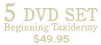 5 DVD Beginner Kit $49.95