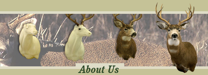 About Us header image