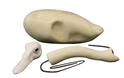 Waterfowl Bird Kit, Bird Neck, Bird Body, Bird Head with Eyes