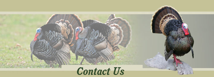 Contact Us header image