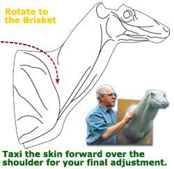 Bill Lancaster skin alignment graphic