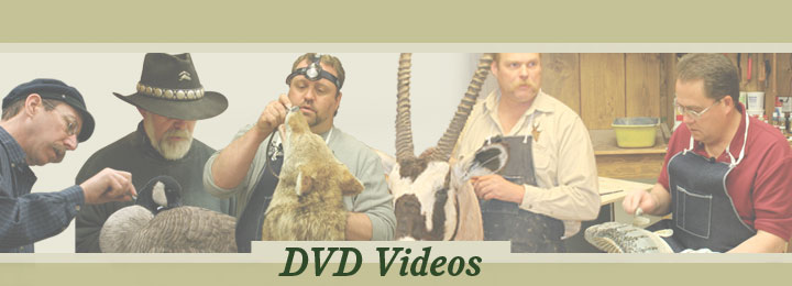 Videos header image